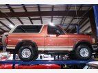 Thumbnail Photo 93 for 1994 Ford Bronco